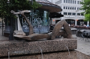 DSC_8460
