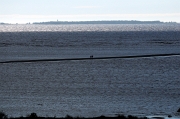 DSC_8652