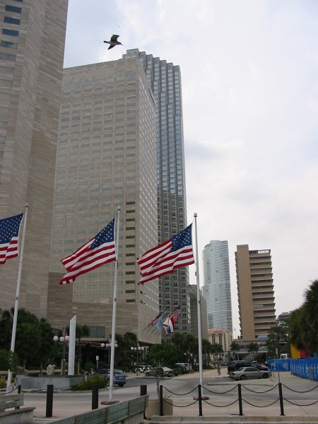 Usa Florida 02 18 07 Citi Bank Tower In Miami Downtown